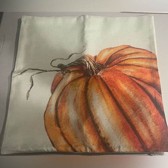 Set of 4 Pillow Covers - Picture 2 of 6